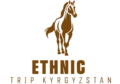 cropped cropped cropped cropped ethnic trip logo 1.png
